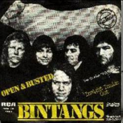 Bintangs : Open & Busted - Insight Inside Out